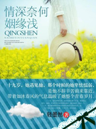 情深奈何姻缘浅/轻墨然