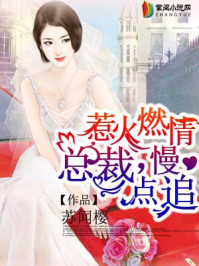 惹火燃情：总裁，慢点追/苏闻樱