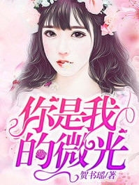 你是我的微光/贺书瑶