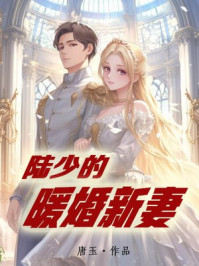 陆少的暖婚新妻/唐玉-mob/epub/azw3/pdf电子书免费下载/书单推荐16km电子书