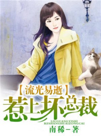 流光易逝,惹上坏总裁/南稀