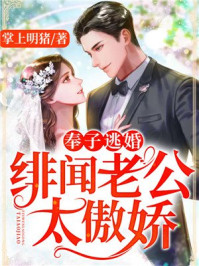 奉子逃婚，绯闻老公太傲娇/掌上明猪