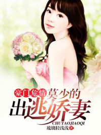豪门危情,莫少的出逃娇妻/琉璃轻浅浅