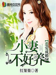 惹爱成婚:小妻不好养/红果果