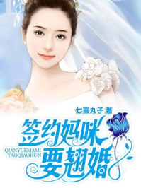 盛宠小辣妈/七喜丸子