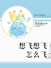 想飞想飞怎么飞/冯志远-mob/epub/azw3/pdf电子书免费下载/书单推荐16km电子书