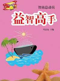 益智高手/冯志远