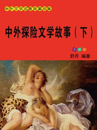 中外探险文学故事（下）/舒乡