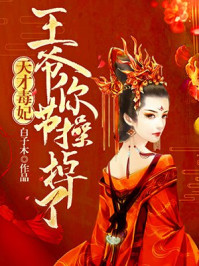 天才毒妃:王爷你节操掉了/白子木-mob/epub/azw3/pdf电子书免费下载/书单推荐16km电子书