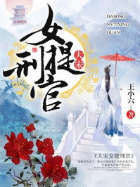 大宋女提刑官/王小六