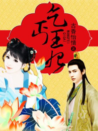 乞丐王妃/古香怡情