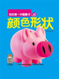 我的第一本翻翻书：颜色形状/书虫文化