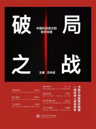 破局之战：中国科技堵点的青年突围/沈辛成