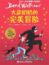 大盗奶奶的完美冒险/大卫·威廉姆斯