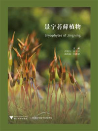 景宁苔藓植物/任昭杰