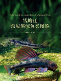 钱塘江常见溪流鱼类图鉴/储忝江