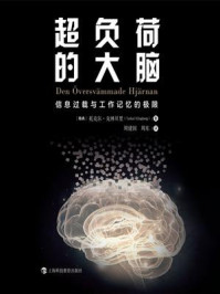 超负荷的大脑：信息过载与工作记忆的极限/托克尔·克林贝里