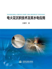 电火花沉积技术及其水电应用/王建升