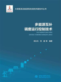 多能源互补调度运行控制技术/祁太元