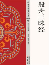 般舟三昧经/吴立民