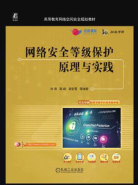 网络安全等级保护原理与实践/孙涛