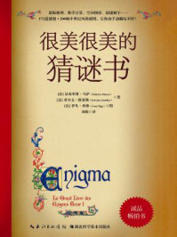 很美很美的猜谜书/法布里斯·马萨