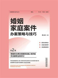 婚姻家庭案件办案策略与技巧(第2版)/李小非