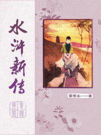 水浒新传/张恨水