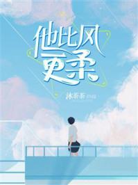 他比风更柔/沐茶茶