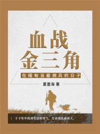 血战金三角：在缅甸当雇佣兵的日子/夏墨海