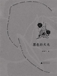 诗想者  黑色的火光/陈雅飞