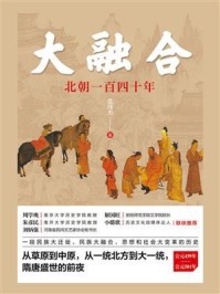 大融合:北朝一百四十年/张玮杰