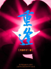 重逢/只因不才