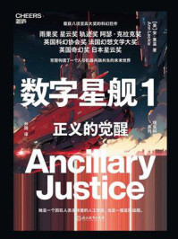 数字星舰1：正义的觉醒/安·莱基