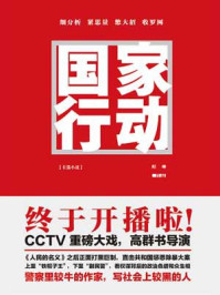 国家行动（ 黄志忠、张译主演电视剧原著）/程琳