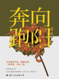 向阳奔跑(影视剧《与你十年,予我半生》原著)/丹书光光-mob/epub/azw3/pdf电子书免费下载/书单推荐16km电子书