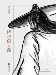 诗眼倦天涯（陈坤、周迅、宋佳主演同名电影原著 ）/徐皓峰