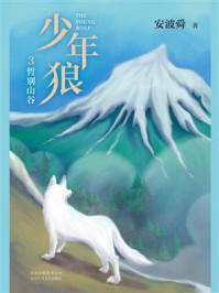 少年狼.3 哲别山谷/安波舜