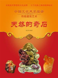 天然的奇石/杨宏伟-mob/epub/azw3/pdf电子书免费下载/书单推荐16km电子书