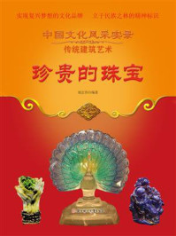 珍贵的珠宝/杨宏伟-mob/epub/azw3/pdf电子书免费下载/书单推荐16km电子书