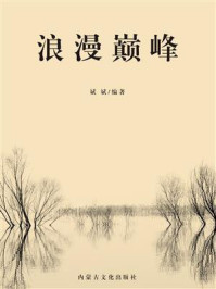 浪漫巅峰/斌斌-mob/epub/azw3/pdf电子书免费下载/书单推荐16km电子书