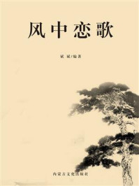 风中恋歌/斌斌-mob/epub/azw3/pdf电子书免费下载/书单推荐16km电子书