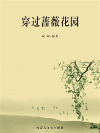 穿过蔷薇花园/斌斌-mob/epub/azw3/pdf电子书免费下载/书单推荐16km电子书