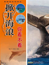 掀开海浪你看不看/蒲永平-mob/epub/azw3/pdf电子书免费下载/书单推荐16km电子书