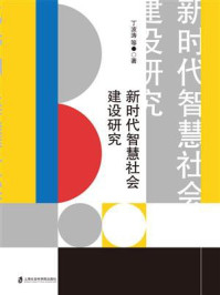 新时代智慧社会建设研究/丁波涛