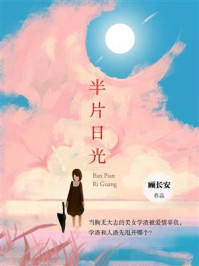 半片日光/顾长安