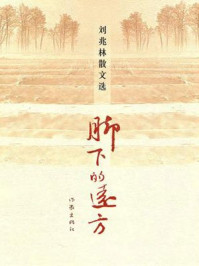 脚下的远方/刘兆林