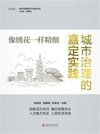 像绣花一样精细:城市治理的嘉定实践/陈高宏