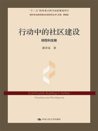 行动中的社区建设：转型和发展/潘泽泉