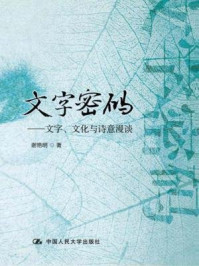 文字密码：文字、文化与诗意漫谈/谢艳明
